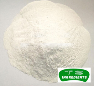 TCP Tricalcium Phosphate